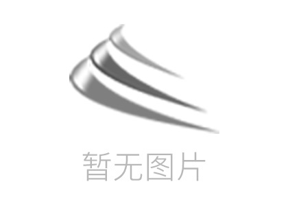 东南亚海运堵船应对方案